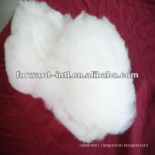 dehaired pashmina wool white fiber inner mongolian cashmere fibre